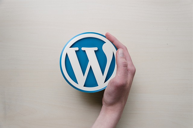 Why WordPress is perfect solution for your small business